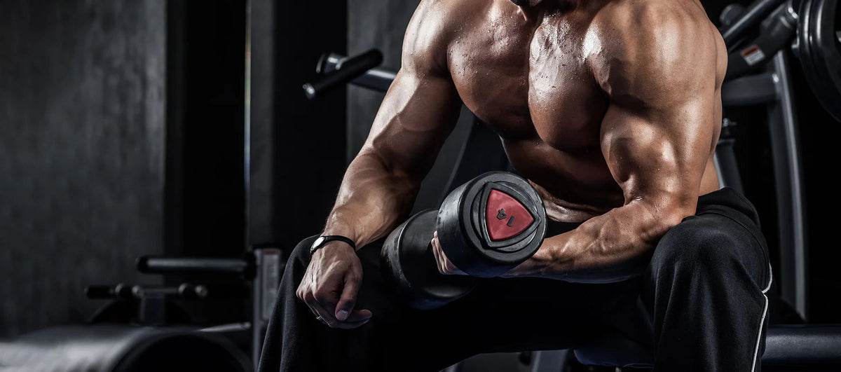 GymShop Fitness Equipment